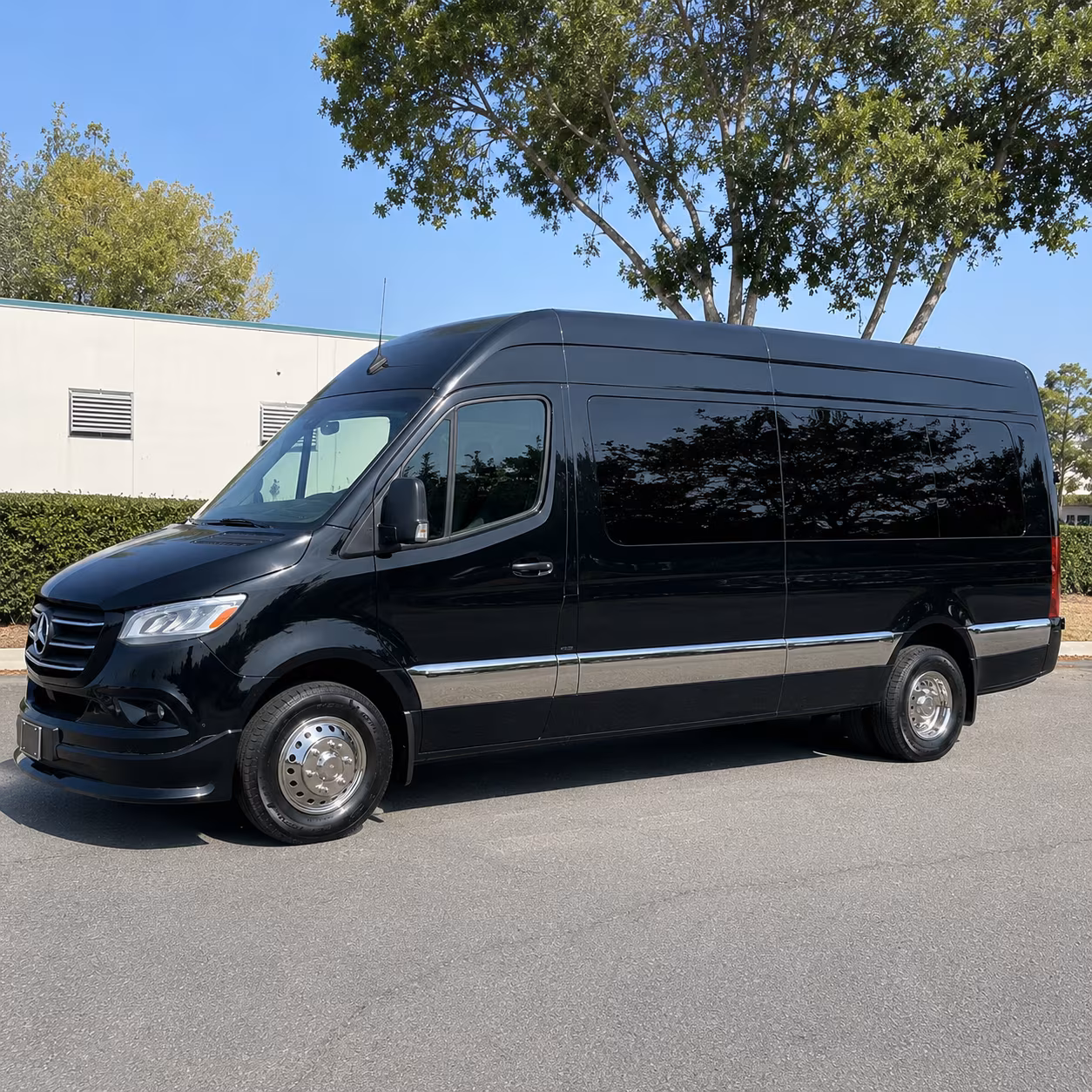 cary sprinter van with driver