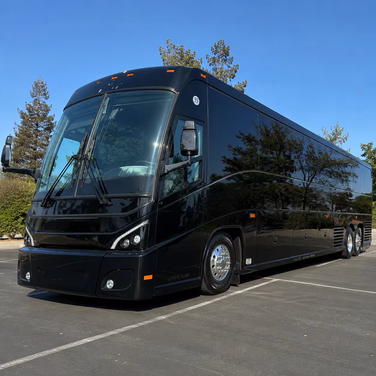 charter buses to carolina mudcats games at five county stadium